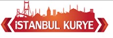 Dudullu Kurye Logo