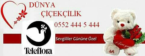 0552 444 5 4444 DİYARBAKIR DÜNYA ÇİÇEKÇİLİK