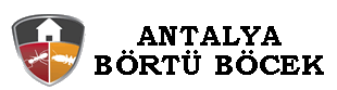 ANTALYA BORTU BOCEK Logo