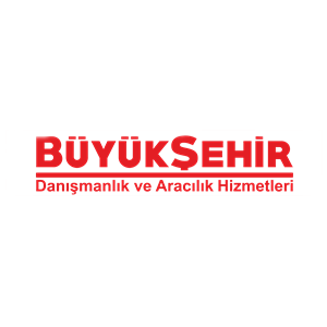 Büyükşehir Danışmanlık