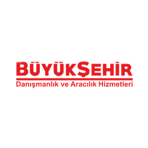 DANIŞMANLIK Logo