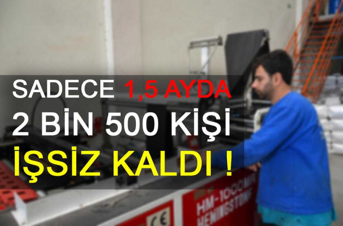 MEVZUATTAKİ HATALAR YÜZÜNDEN 1,5 AYDA 2 BİN 500 KİŞİ İŞSİZ KALDI