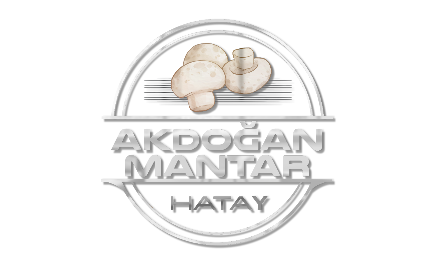 AKDOĞAN MANTAR