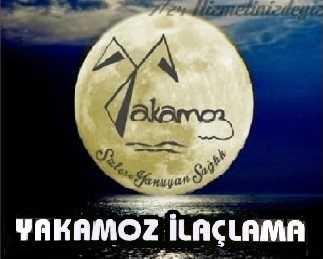 YAKAMOZ İLAÇLAMA HİZMETLERİ Logo