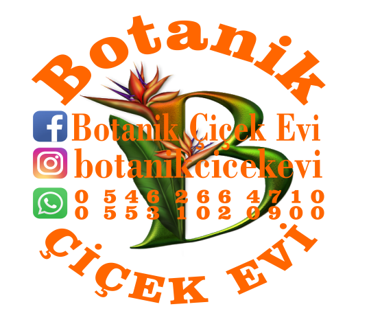 Botanik Çiçek Evi Logo