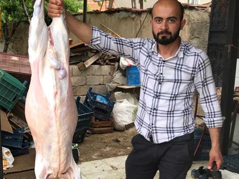 Meram Hayvancılık Adak Kurban Akika kurban Satışı Konya