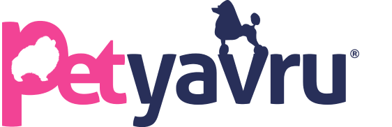 HauseOfistanbul Logo