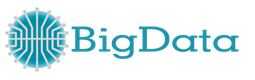 Bigdata Bilişim Logo