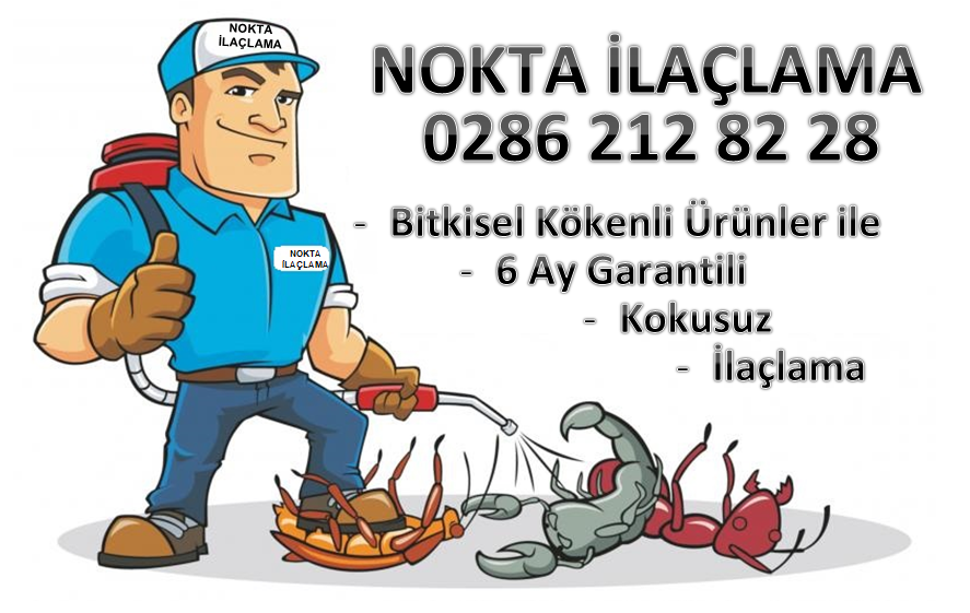 NOKTA iLAÇLAMA Logo