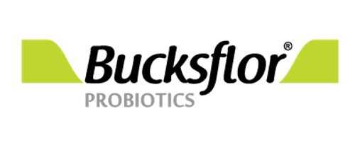 Bucksflor Logo