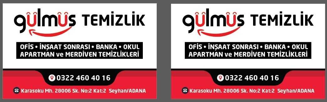 gülmüş temizlik Logo