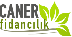 CANER FİDANCILIK Logo
