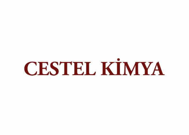 CESTEL Logo
