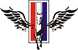 VHS AYAKKABI Logo
