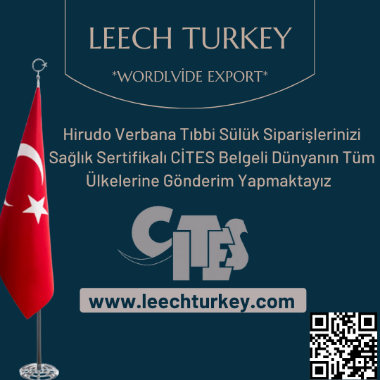 Avcı Su Ürünleri Tıbbi Sülük İhracatı Logo