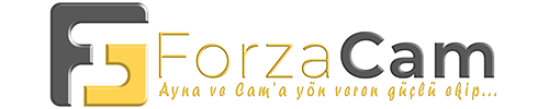 Forza Logo