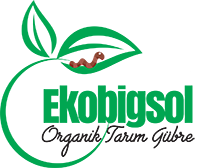 Ekobigsol Logo