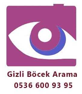 BÖCEK ARAMA Logo