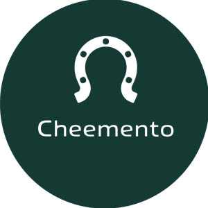 Tişört Baskı Cheemento Logo