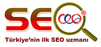 seoceoinfo