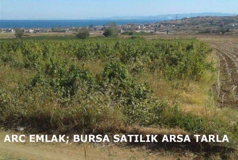 ARC EMLAK Bursa satılık arsa satılık tarla