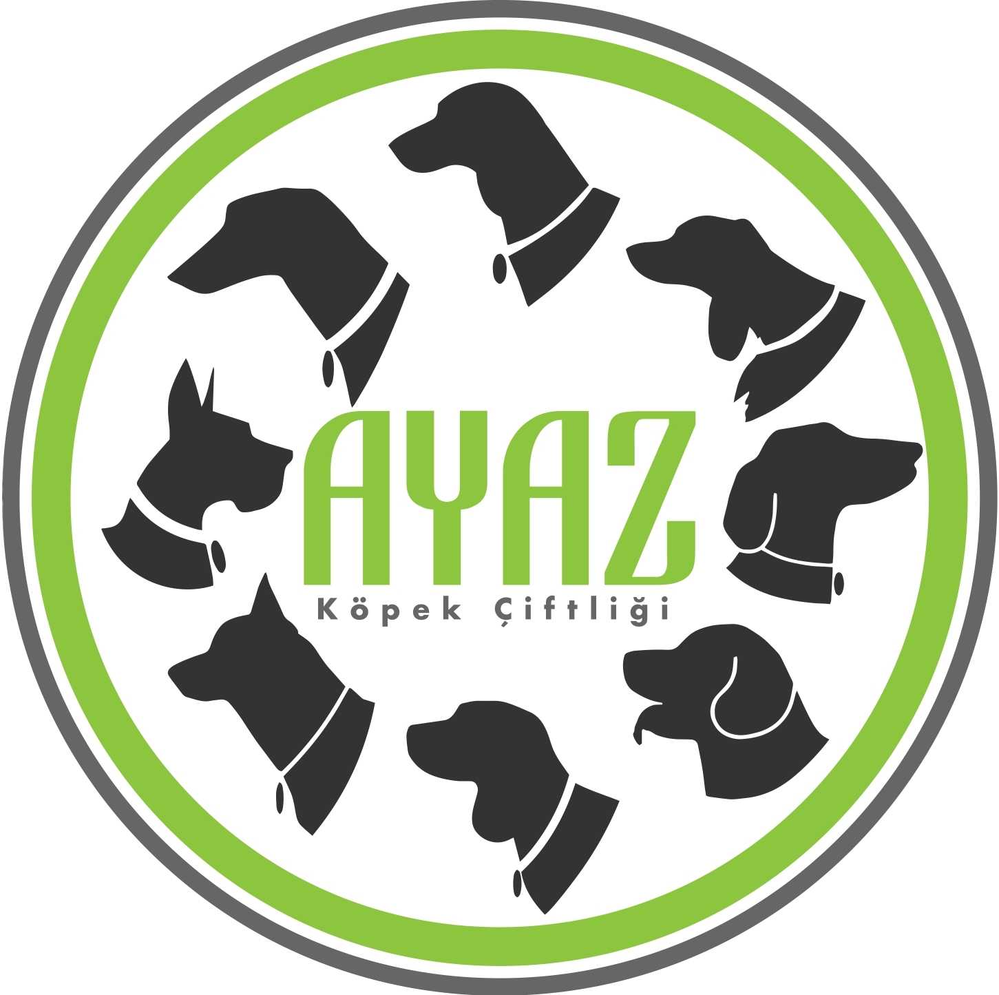 Ayaz Köpek Çiftliği Logo