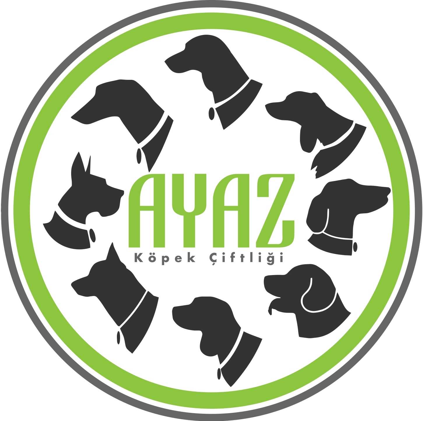 Ayaz Köpek Çiftliği