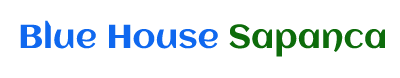Blue House Sapanca Villaları Logo