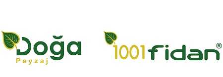 1001 Fidan Logo