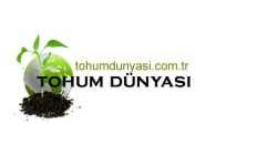 Tohum Dünyası