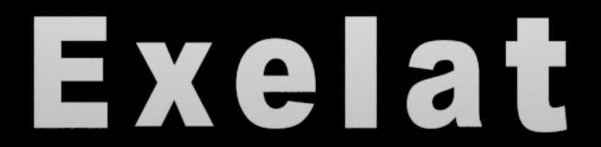 Exelat Medikal Danışmanlık Logo