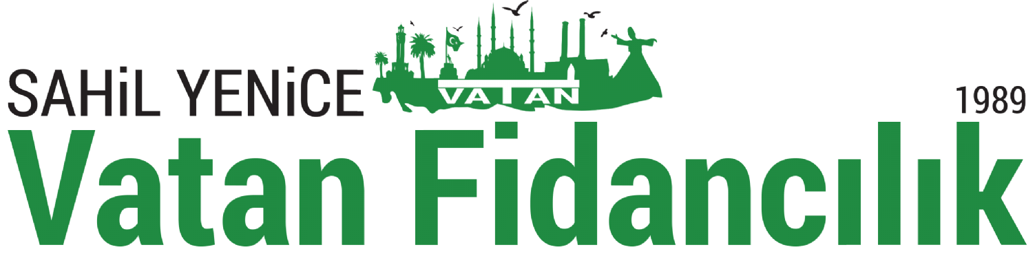 Vatan Fidancılık