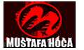Mustafa Hoca Dış Ticaret Eğitimi Logo