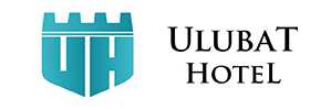 İstanbulda ilk bayan apart otel Logo